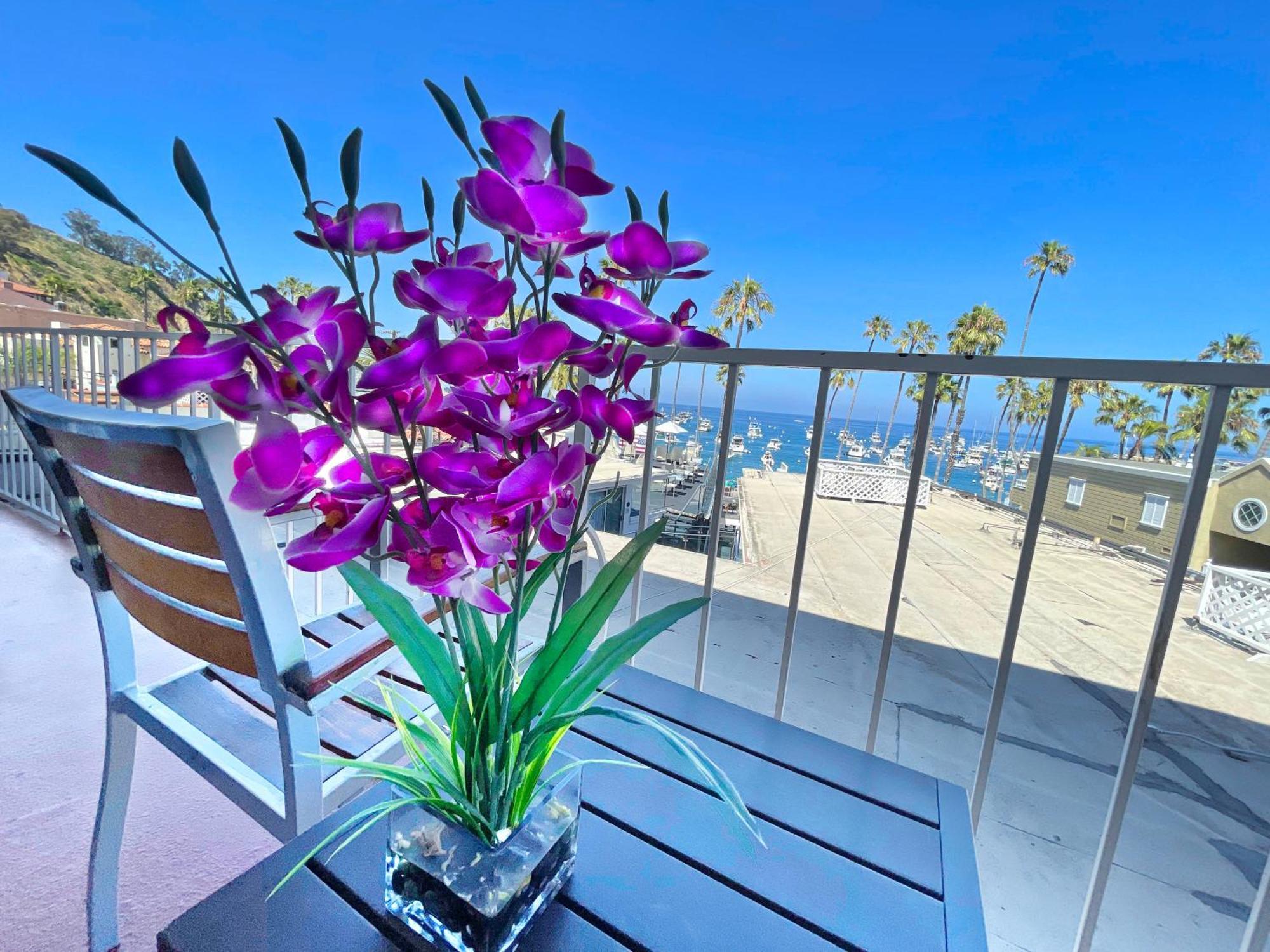 Catalina Courtyard Suites Авалон Екстер'єр фото