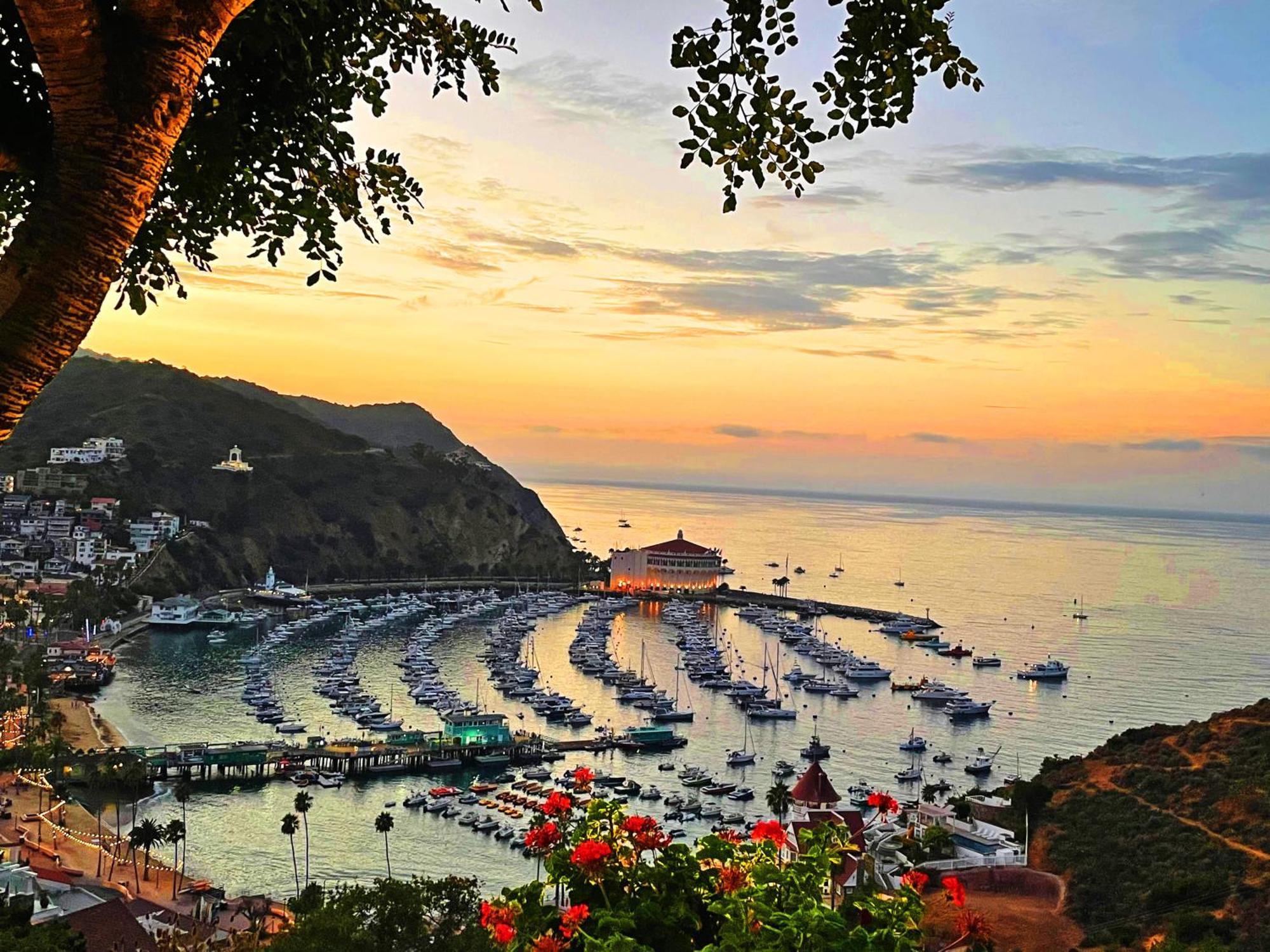 Catalina Courtyard Suites Авалон Екстер'єр фото